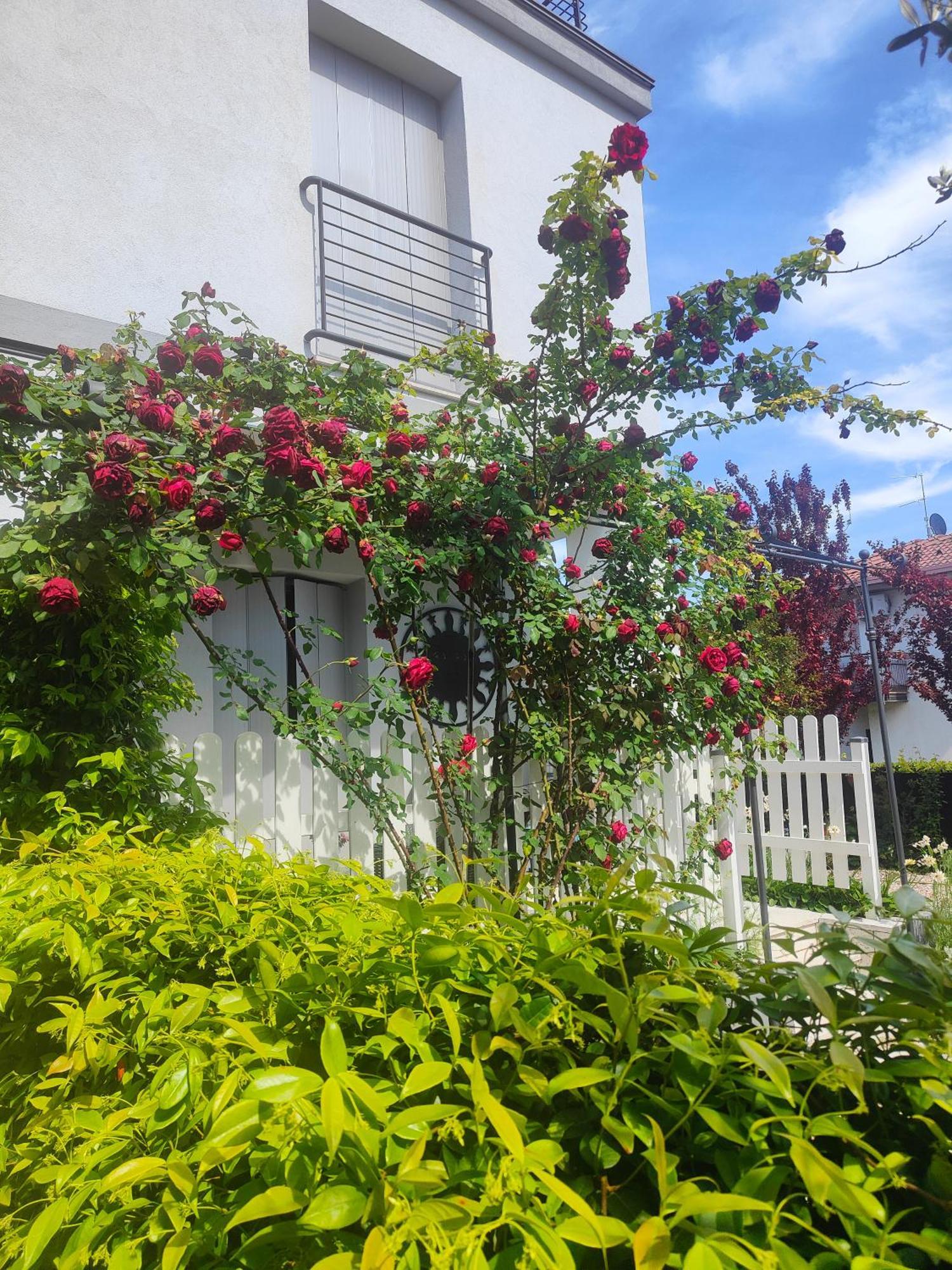 Villa Marianna Garda Lake Peschiera del Garda Eksteriør billede